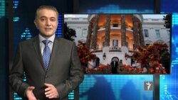 ستودیوی آزادی
