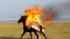 A horseback rider performs a fire stunt during a show organized for participants in the Gallops 2025 equestrian rally near Lake Song Kol in Kyrgyzstan.