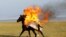 A horseback rider performs a fire stunt during a show organized for participants in the Gallops 2025 equestrian rally near Lake Song Kol in Kyrgyzstan.