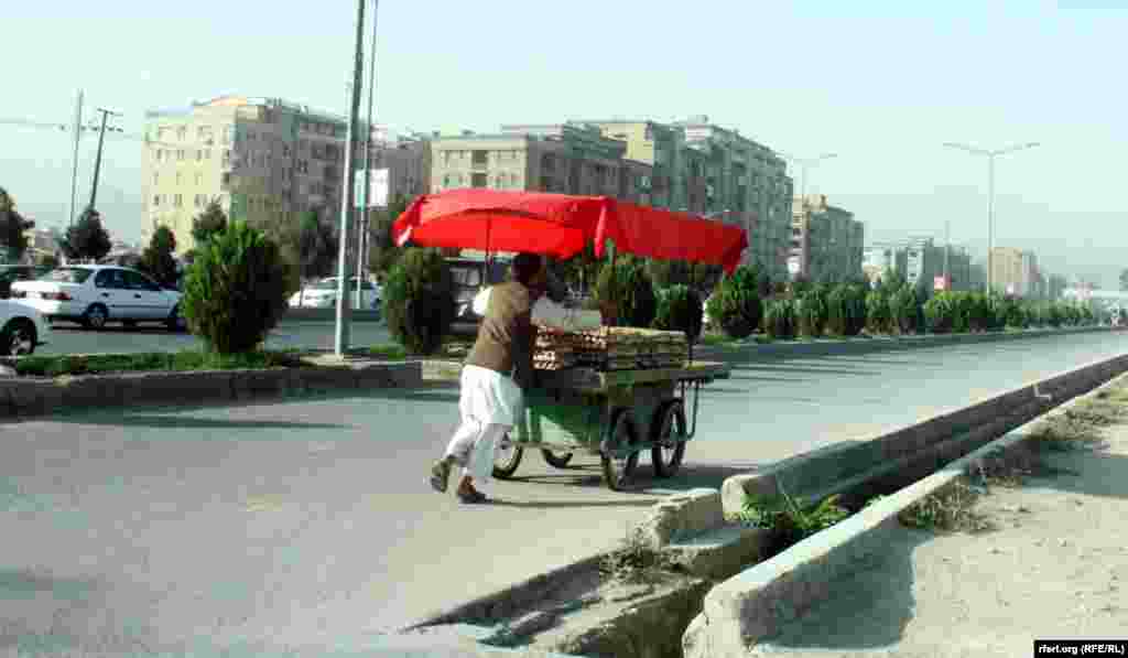 این مرد در کراچی خود تخم مرغ می فروشد