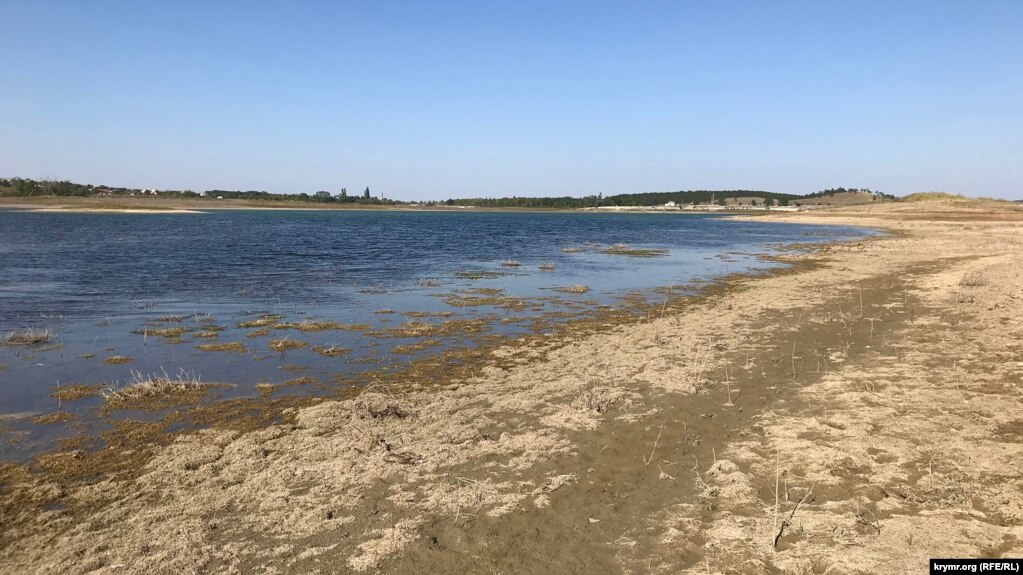 Водохранилище мельчает и начинает заболачиваться