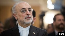 Ali Akbar Salehi, Iranian academic, diplomat and the head of Atomic Energy Organization of Iran. 