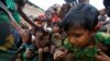 بنگله دیش و میانمار در مورد برگشت مسلمانان روهینگیا به توافق رسیدند