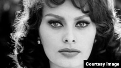 Sophia Loren