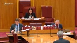 Senatorja australiane ushqen me gji foshnjën gjatë seancës
