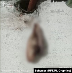 Фото відрізаних вух, яке розсилав Дємурчієв