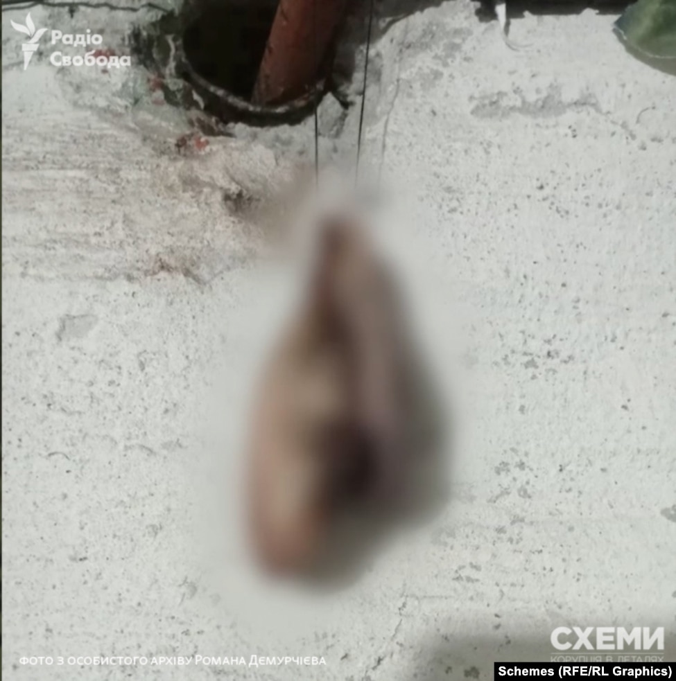 Фото відрізаних вух, яке розсилав Дємурчієв