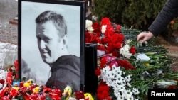 Lule të vendosura mbi varrin e opozitarit rus, Aleksei Navalny. 16 shkurt 2025. 
