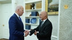 ولسمشرغني له خپل امریکايي سیال سره