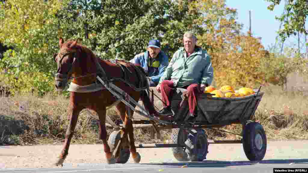 Moldova - people in Ungheni city 