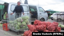 Žao mi je ako se to ispolitiziralo: Tolušić