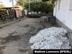 Cotton harvested in the fields awaits sorting at the home of Abdukholik Gadoev's son.