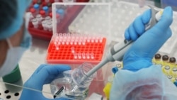 Лабораторія «ТестГен», яка розробила прототип тест-системи для діагностики коронавірусу, в Ульяновську, Росія
