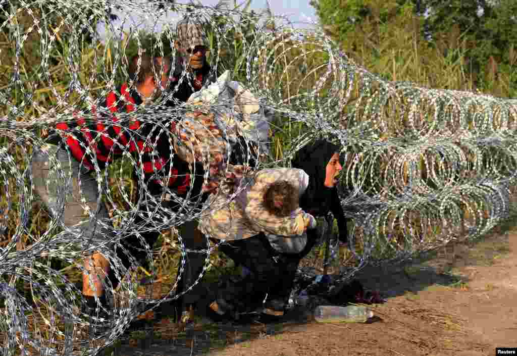 پناهجویان سوری پشت سیم&zwnj;های خاردار در مرز مجارستان و صربستان. 
