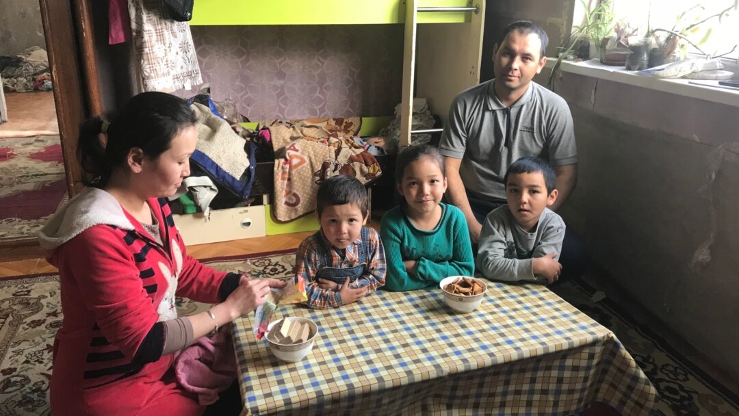 Жатақхана отбасы мүшесі Украина Жатақхана отбасы мүшесі Украина