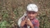 <p>A young boy collects cotton in the Tashkent region. Underage labor is officially banned, but continues nonetheless.</p>
