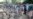 Scores Dead In East Afghan Quake