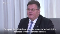 Linas Linkevičius: „Chiar dacă lucrurile merg greu în Ucraina, noi trebuie să ajutăm această țară”