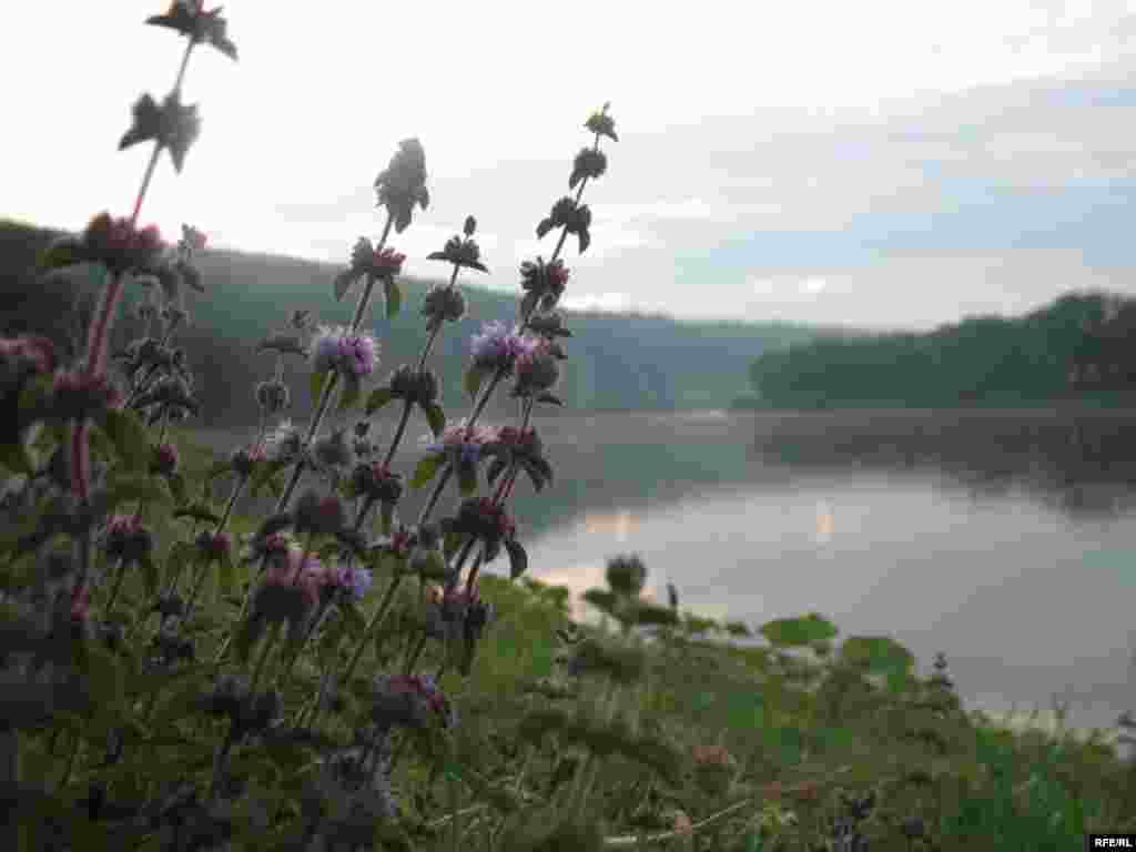 Dnestr çayında #33