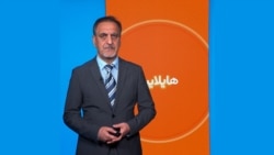 هایلایټ: لنډ او مهم خبرونه 