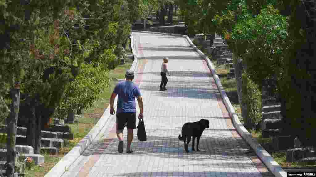 Посетителей кладбища сопровождают собака и кошка в надежде полакомиться чем-то съестным
