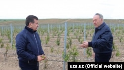 Встреча Нурсултана Назарбаева и Шавката Мирзиёева на юге Казахстана