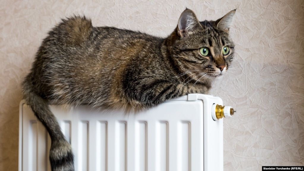 Поточний опалювальний сезон Київ розпочався 7 жовтня 2022 року із закладів соціальної сфери, поступово підключаючи житлові будинки