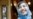 Saberi, Freed From Iranian Prison, Wants To Rest
