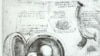 Страница рукописи Леонардо да Винчи «Исследование эмбриона». Рукописи Леонардо сохранили не только отпечатки его пальцев, но и частички пищи, поскольку художник любил перекусить за работой.