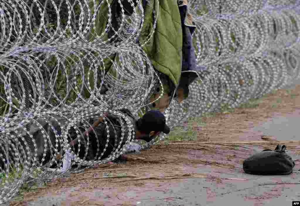 A migrant man creeps under a metal fence near the village of Roszke at the Hungarian-Serbian border. (AFP/Csaba Segesvari)