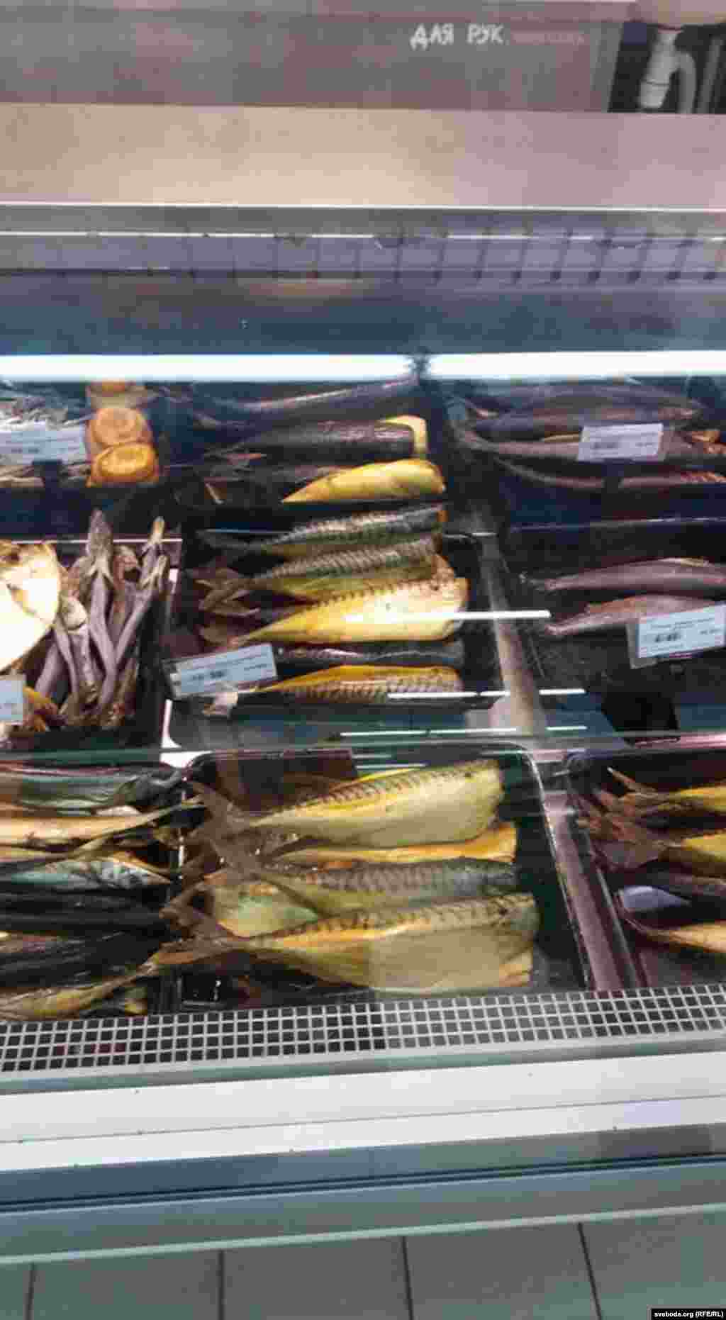 Belarus -- fish, general