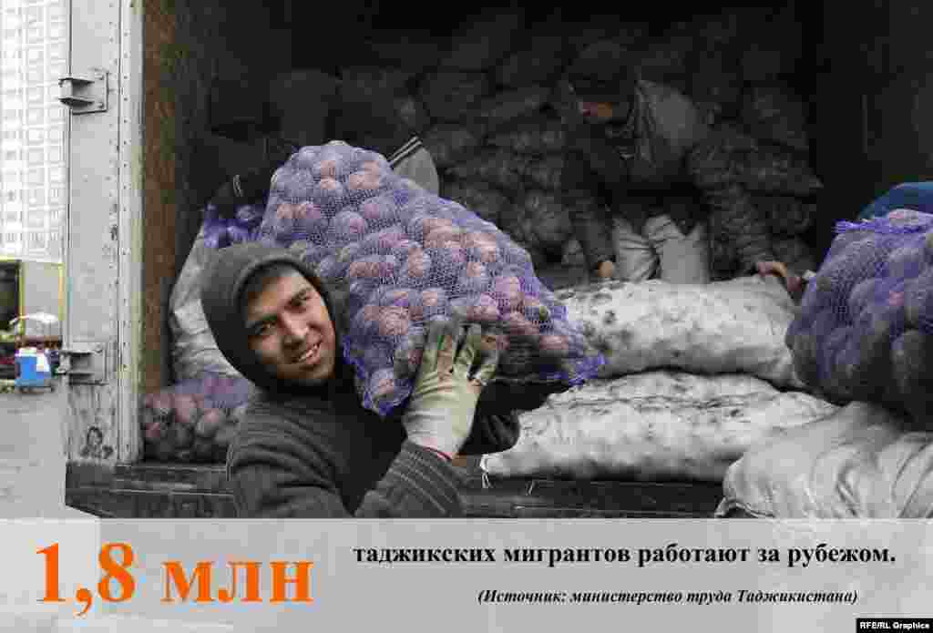 По данным министерства труда, миграции и занятости населения Таджикистана, из 2,2 миллиона трудоспособного населения страны 1,8 миллиона работают за границей, большинство – в России.