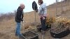 Pando Association in Transylvania is planting oak trees.