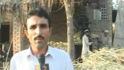 چارسده: ګنی،ګاڼۍ او ګوړه