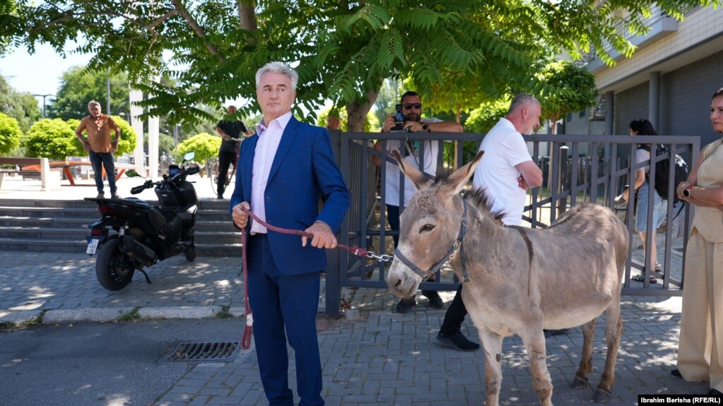 Avokati i njohur kosovar, Arianit Koc me një gomar pranë ndërtesës së Kuvendit të Kosovës në Prishtinë, për të protestuar ndaj mungesës së vullnetit të deputetëve për ta bërë kuvendin e ri, 3 korrik 2025.Ligjvënësit kosovarë e themeluan Kuvendin pas disa dhjetëra takimeve përgjatë nëntë muajve të vitit, i cili u shpërbë pothuajse mënjeherë pas dështimit për ta votuar një qeveri të re, dhe Kosova shkoi në zgjedhje të parakohshme parlamentare më 28 dhjetor.