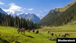 В горах Тянь-Шаня. Иллюстративное фото.