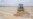 Uzbek Farmers Get 'Cluster' Bombed By Reforms