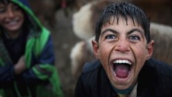 Sve manje smijeha u borbi protiv turobne realnosti