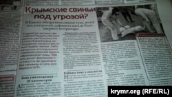 В Крыму обнаружена свиная чума, но дефицита мяса не будет, пишет «Крымский телеграфъ»