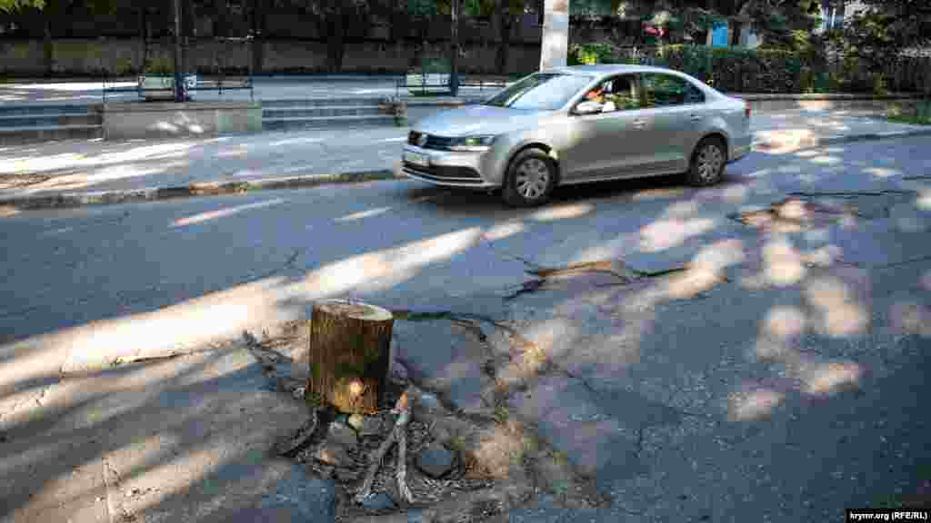 В Симферополе дорожные службы оградили аварийный участок дороги пеньком, 17 июня 2017 года