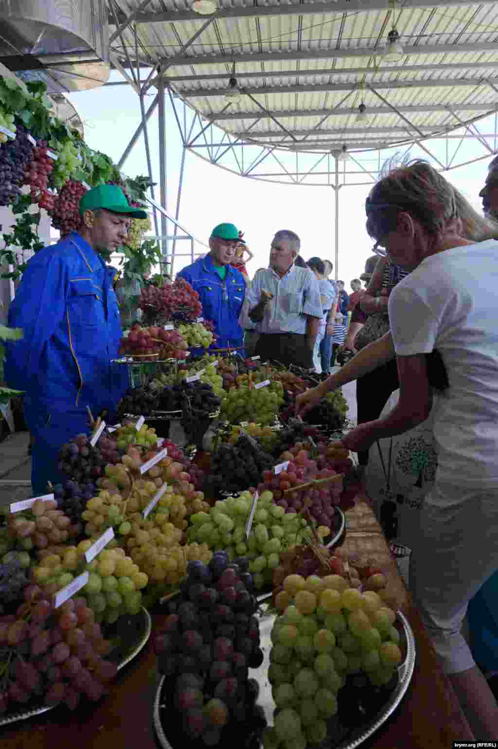 Qırımdaki şarap ve yüzüm festivali, 2015 senesi avgust 22 künü