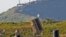Sistemul israelian antirachetă de pe Înălțimile Golan