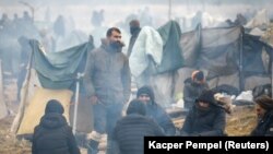 Migranti okupljeni oko vatre u kampu pored poljsko-bjeloruske granice 18. novembar 2021. 