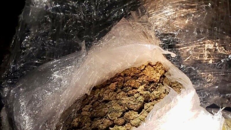 Полицијата пронашла марихуана вредна пола милион евра