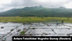 Indoneziya. 2018