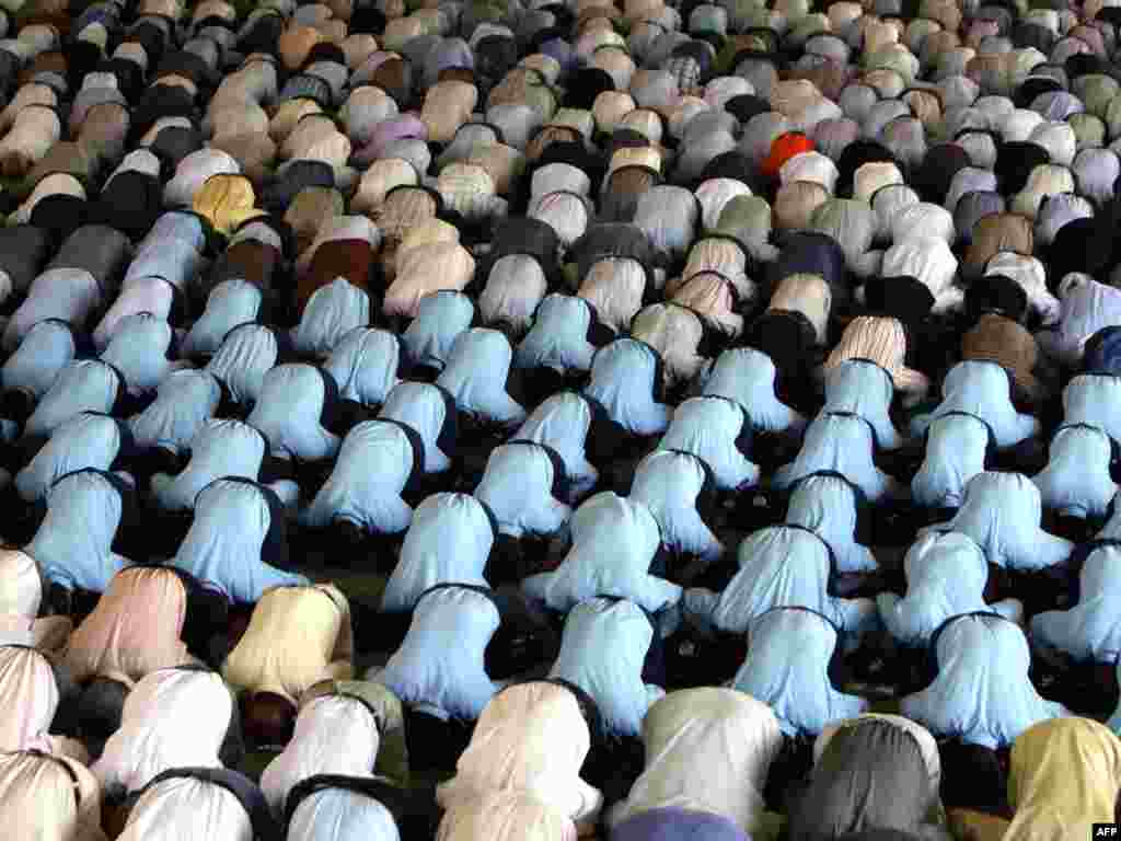 Iran - Molitva petkom - Shiiti na sveučilištu u Teheranu na molitvi petkom.