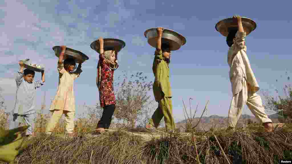 Children walk from a field with containers of cotton balanced on their heads in Jalalabad Province, Afghanistan. (Reuters/Parwiz)