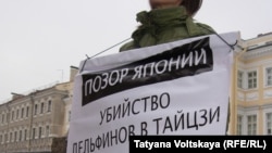 В Петербурге акция против убийства дельфинов, 13 февраля, 2015