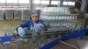 Armenia - A worker at a cannery in Ararat province, 19Apr2014.