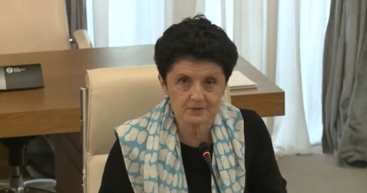 თეა წულუკიანმა „ნაციონალური მოძრაობის“ საქმიანობის შემსწავლელი კომისიის ანგარიში წარადგინა - მთავარი მოკლედ